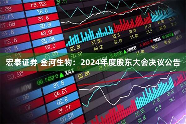 宏泰证券 金河生物：2024年度股东大会决议公告