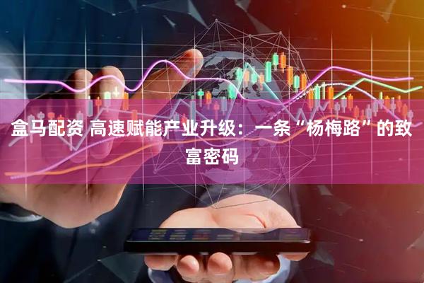 盒马配资 高速赋能产业升级：一条“杨梅路”的致富密码