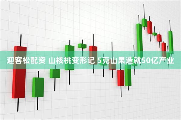 迎客松配资 山核桃变形记 5克山果造就50亿产业