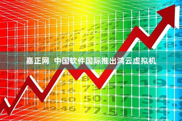 嘉正网  中国软件国际推出鸿云虚拟机